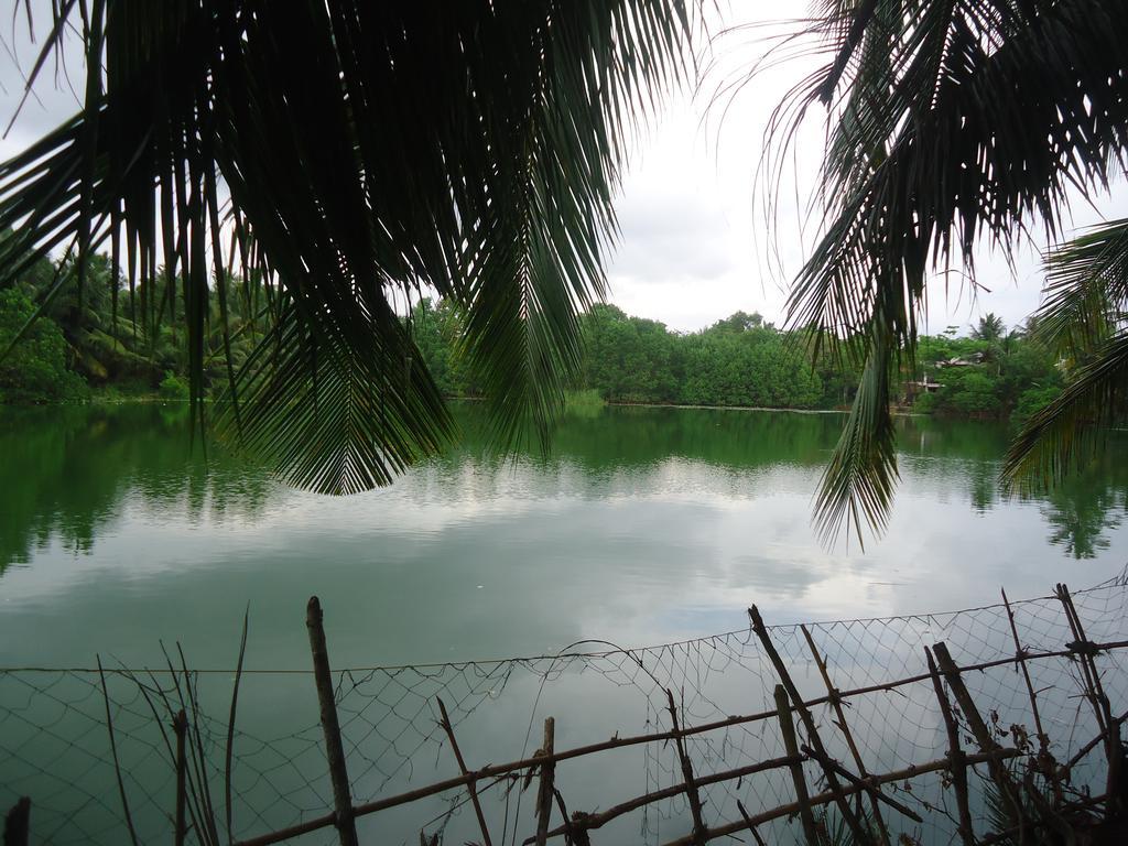 Lake View Cabana Paradise & Villa Тангале Екстериор снимка